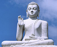The Seated Buddha in Sri Lanka Ponders the Meaning of Twit